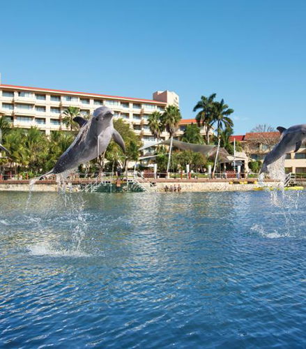 Foto de Nado Aventura con delfines en Puerto Aventuras